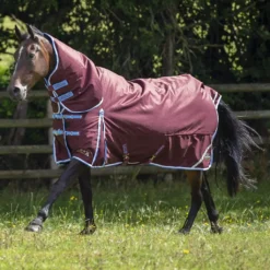 Gallop Trojan Xtra 350 Combo Turnout Rug