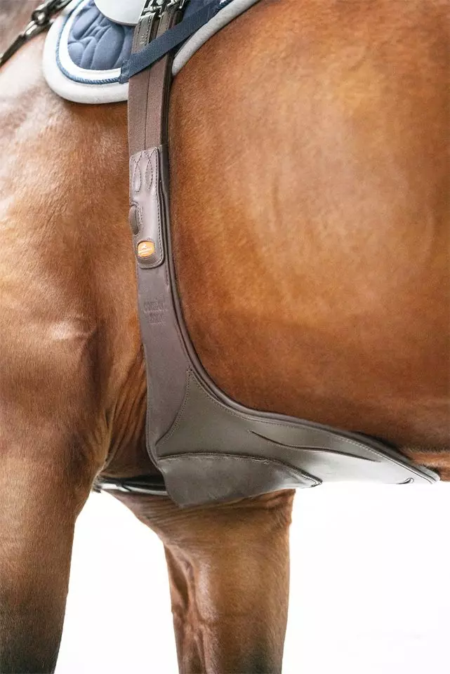 Schockemohle Oklahoma Stud Girth - Image 5