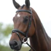Kincade Flash Bridle II