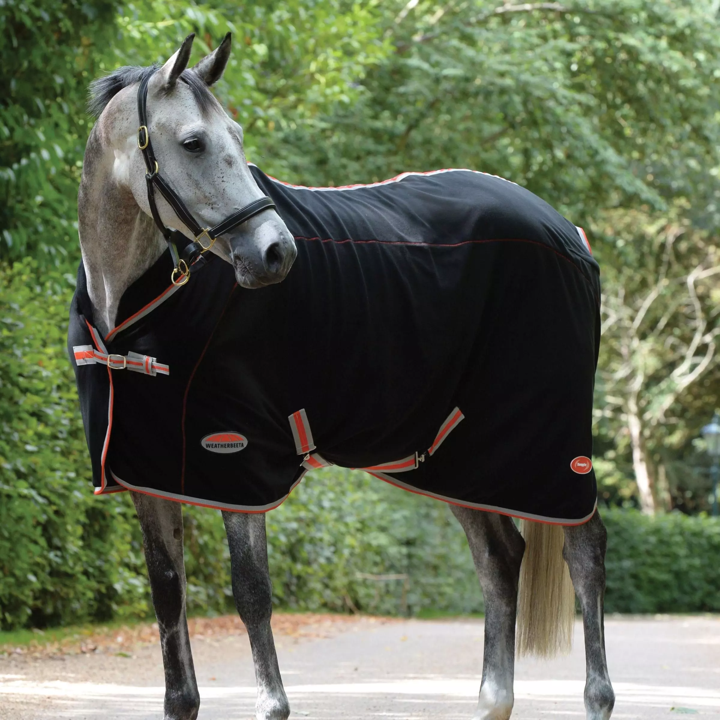 Weatherbeeta Therapy-Tec Standard Neck Rug - Image 10