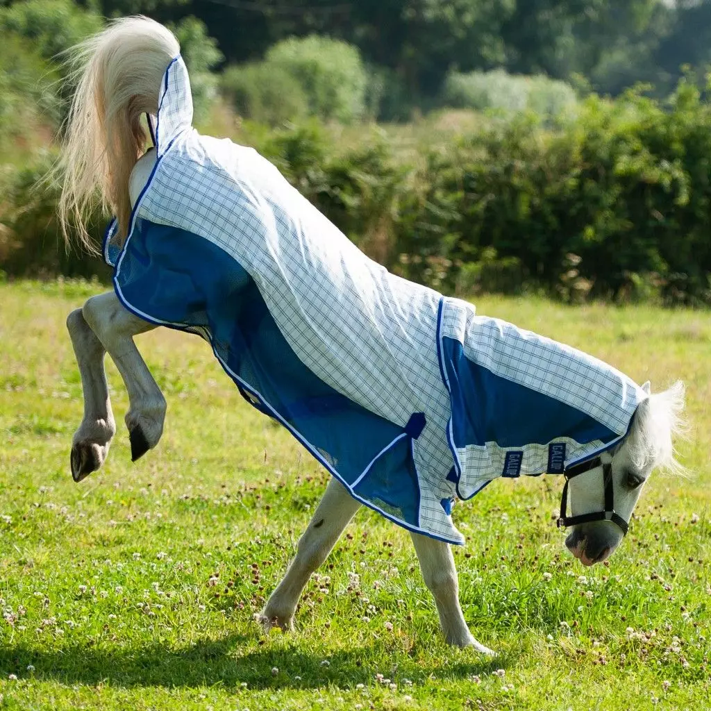 Gallop Air-Mesh Summer Sheet Combo - Image 9