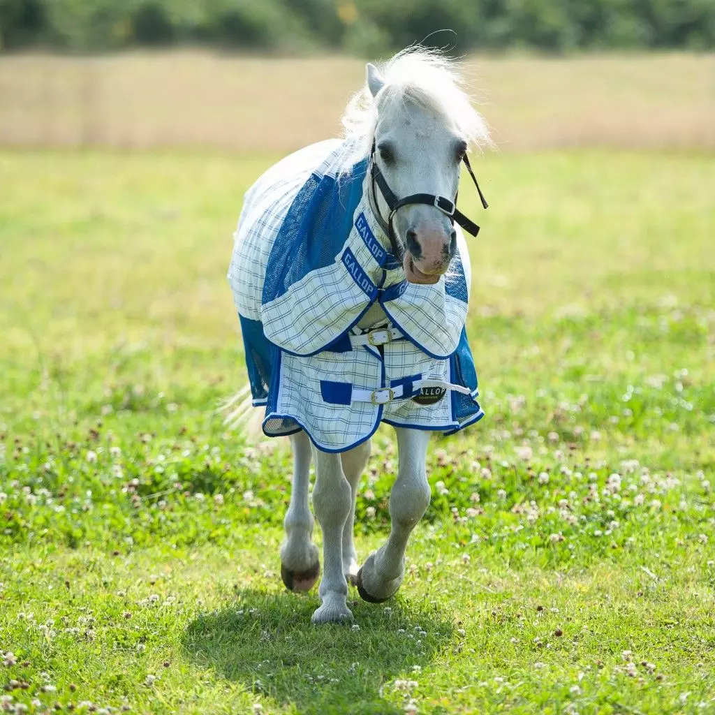 Gallop Air-Mesh Summer Sheet Combo - Image 20