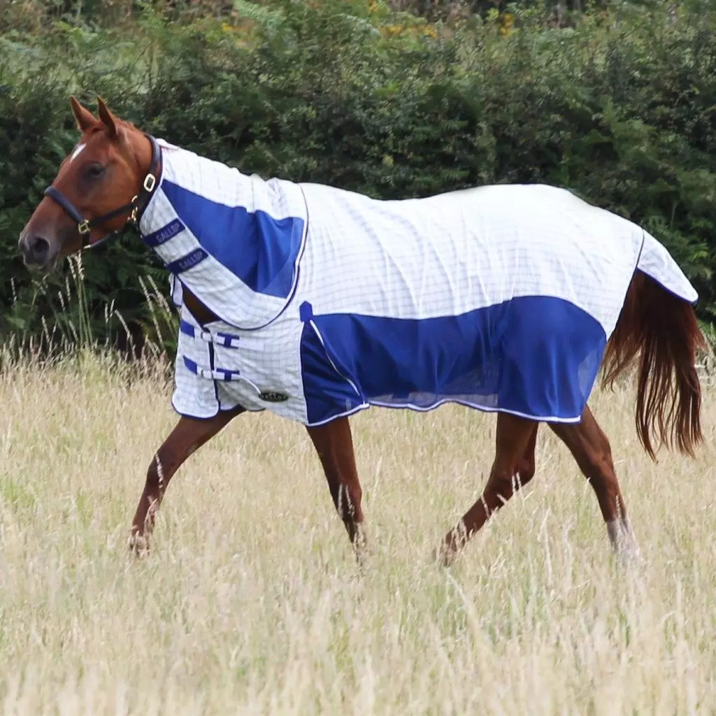 Gallop Air-Mesh Summer Sheet Combo - Image 15