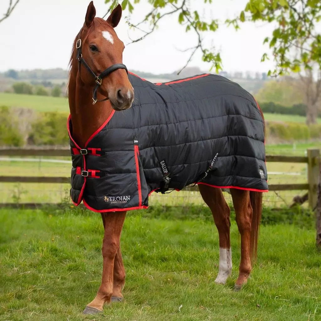 Gallop Trojan 200 Stable Rug - Image 8