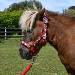 Rhinegold Unicorn Padded Headcollar And Matching Leadrope Set