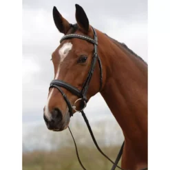 Kincade Padded Crystal Crank Flash Bridle