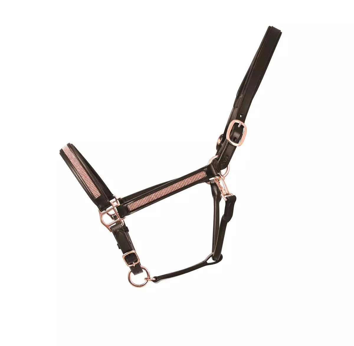 Hy Equestrian Rosciano Rose Gold Head Collar - Image 3