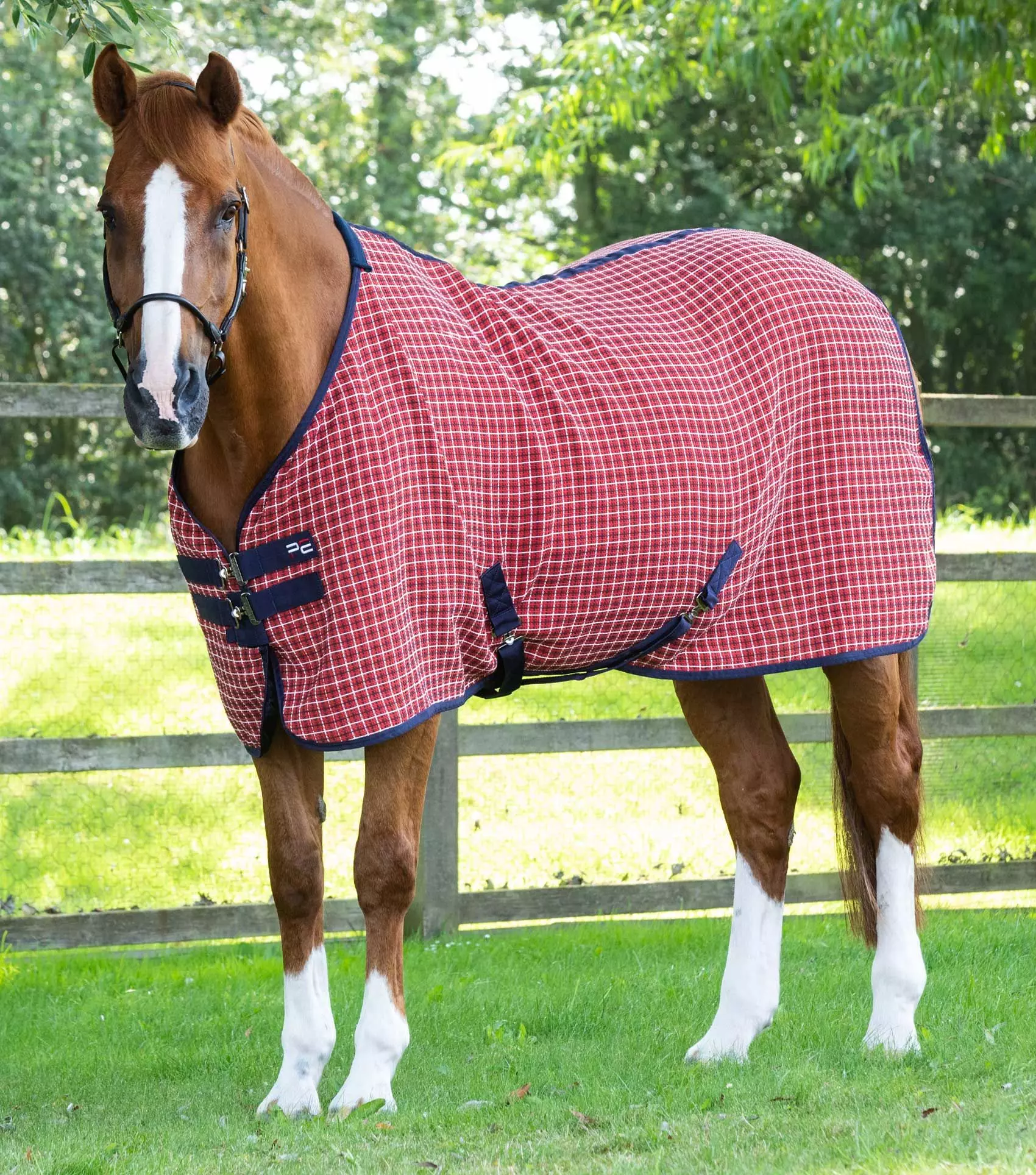 Premier Equine 3D Waffle Cooler - Image 3