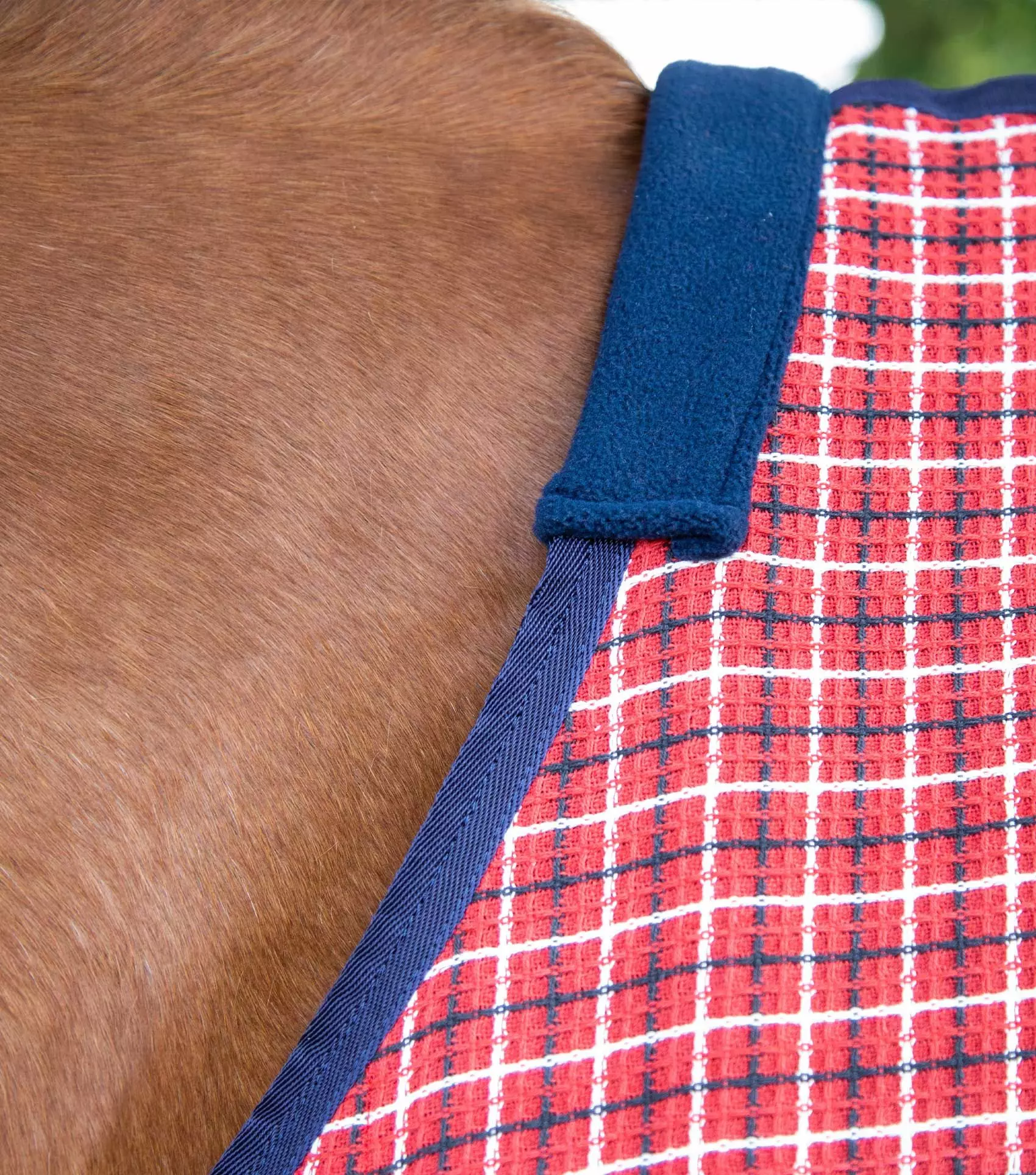 Premier Equine 3D Waffle Cooler - Image 13