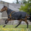 Gallop Trojan Dual 100 Turnout Rug And Neck Set