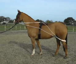 Rhinegold Training System With Roller Included