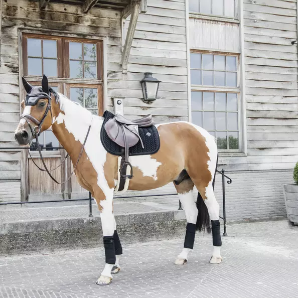 Kentucky Horsewear Kentucky Wellington Velvet Pearls Fly Veil - Image 7