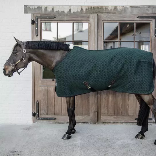 Kentucky Horsewear 4D Spacer Cooler Sheet - Pine Green - Image 17