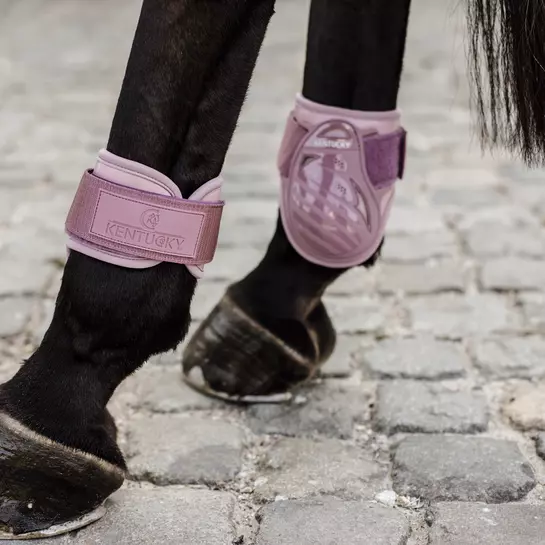 Kentucky Horsewear Kentucky Young Horse Fetlock Boots Air - Image 4