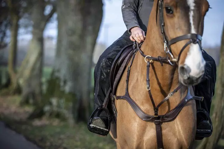 LeMieux DryTex Stormwear Waterproof Chaps