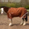 Gallop Toofan 200 Dual Turnout Rug With Neck