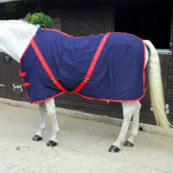 Rhinegold Summer Sheet