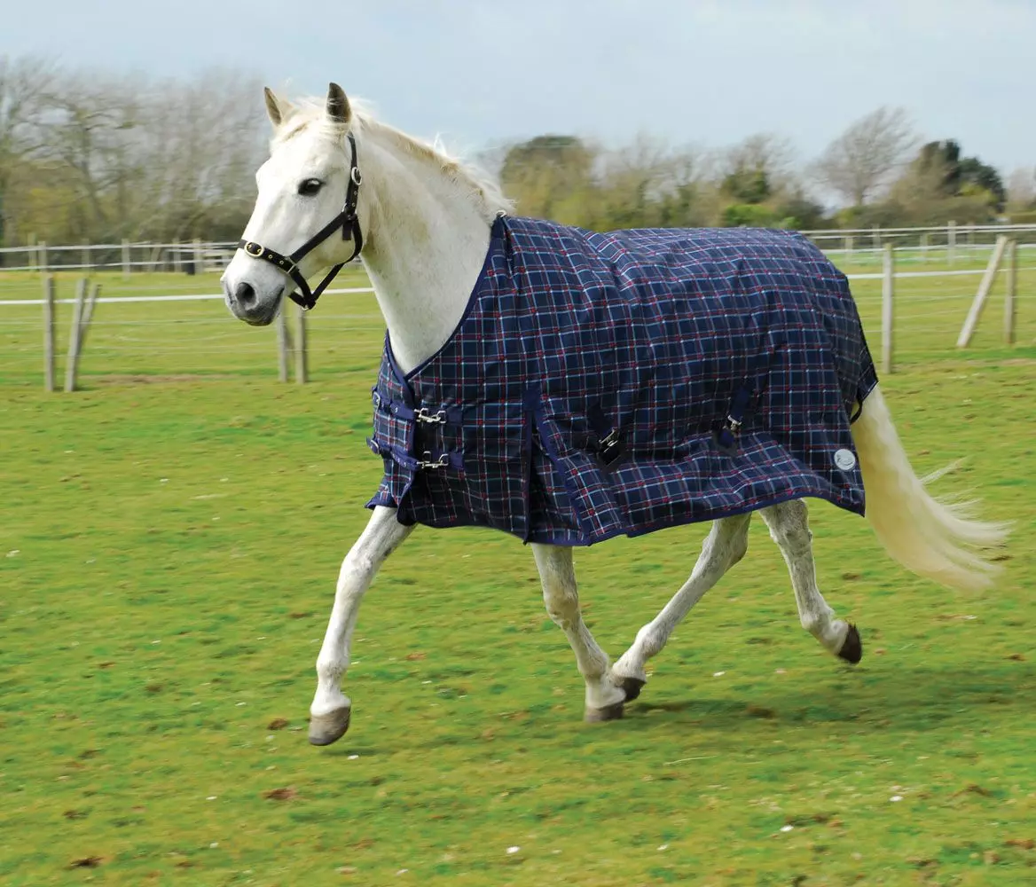 Rhinegold Zeus Heavyweight Turnout Rug - Image 7