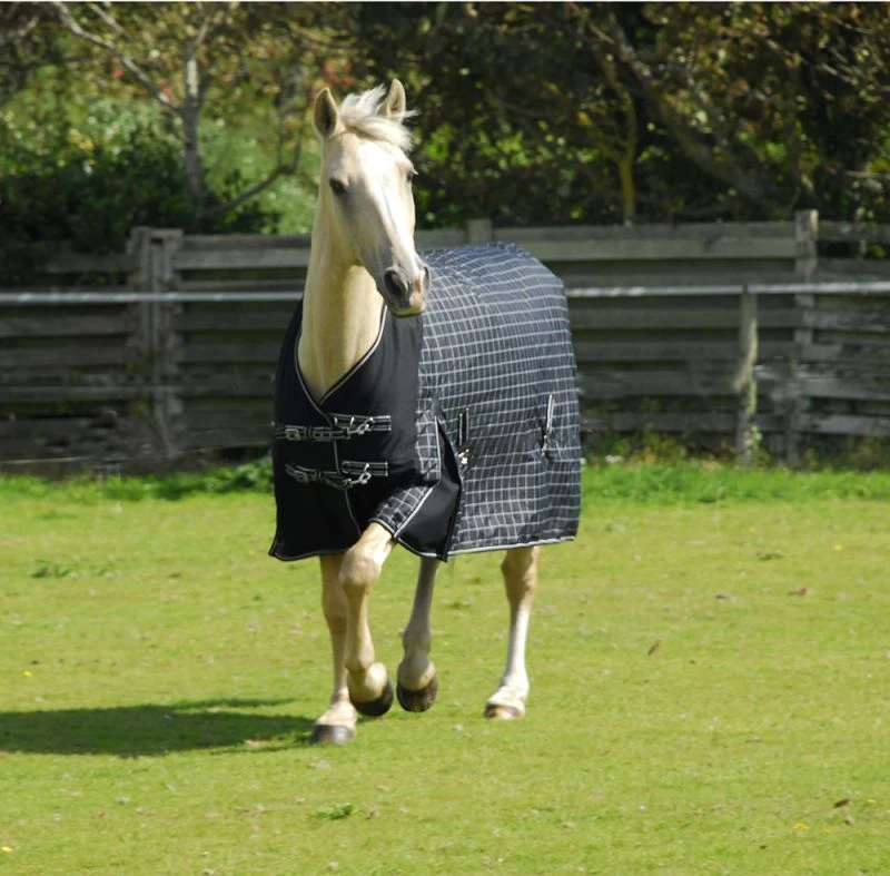 Rhinegold Elite Montpelier 100g Turnout Rug - Image 3