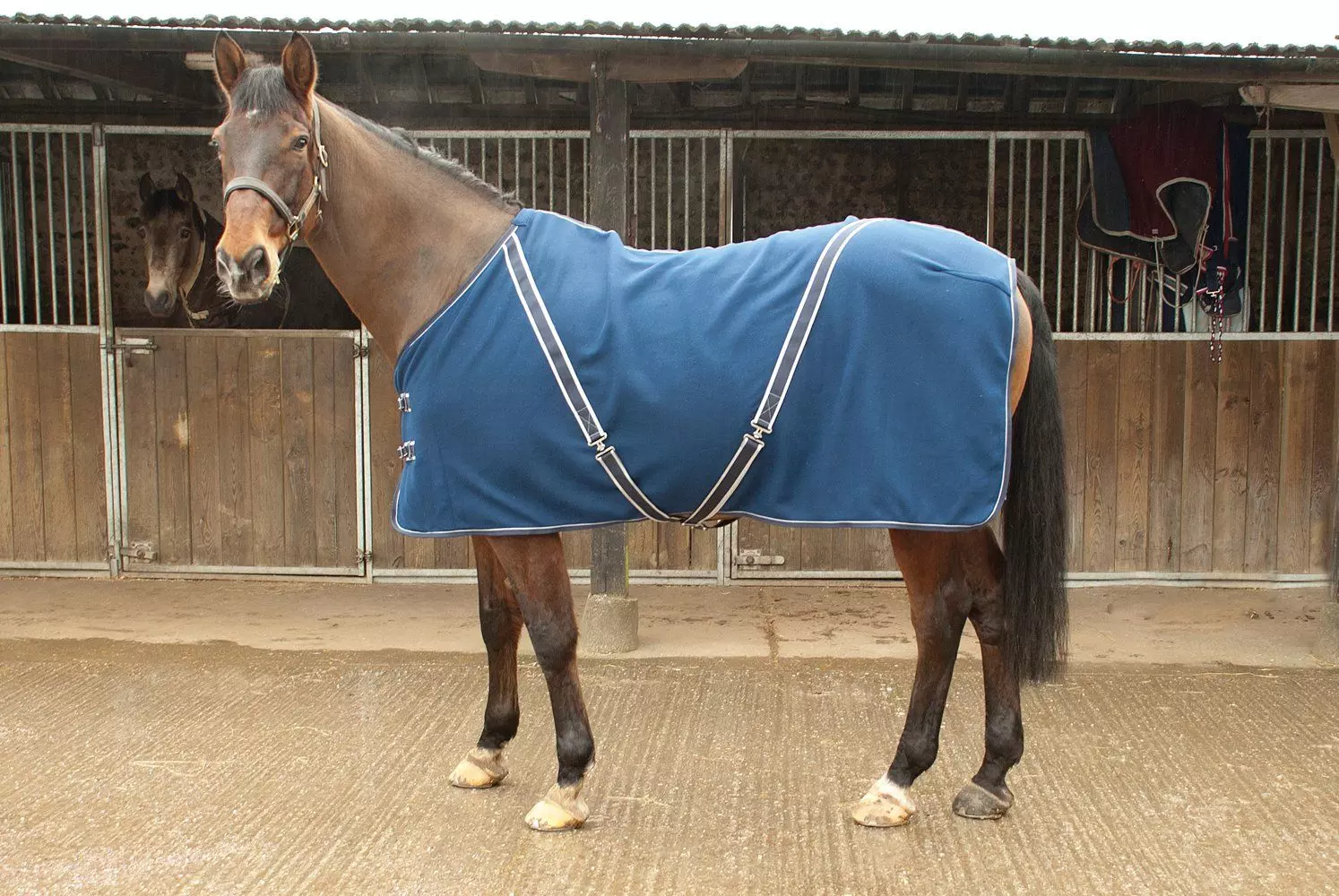 Rhinegold Comfey Fleece Rug - Image 20