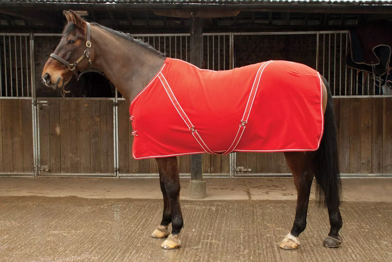 Rhinegold Comfey Fleece Rug - Image 16