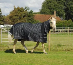 Rhinegold Elite Full Neck Montpelier 100g Turnout Rug