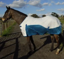 Rhinegold Helena Air Summer Sheet