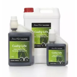 James Hart Cushy Life