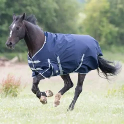 Gallop Trojan 300 Turnout Rug