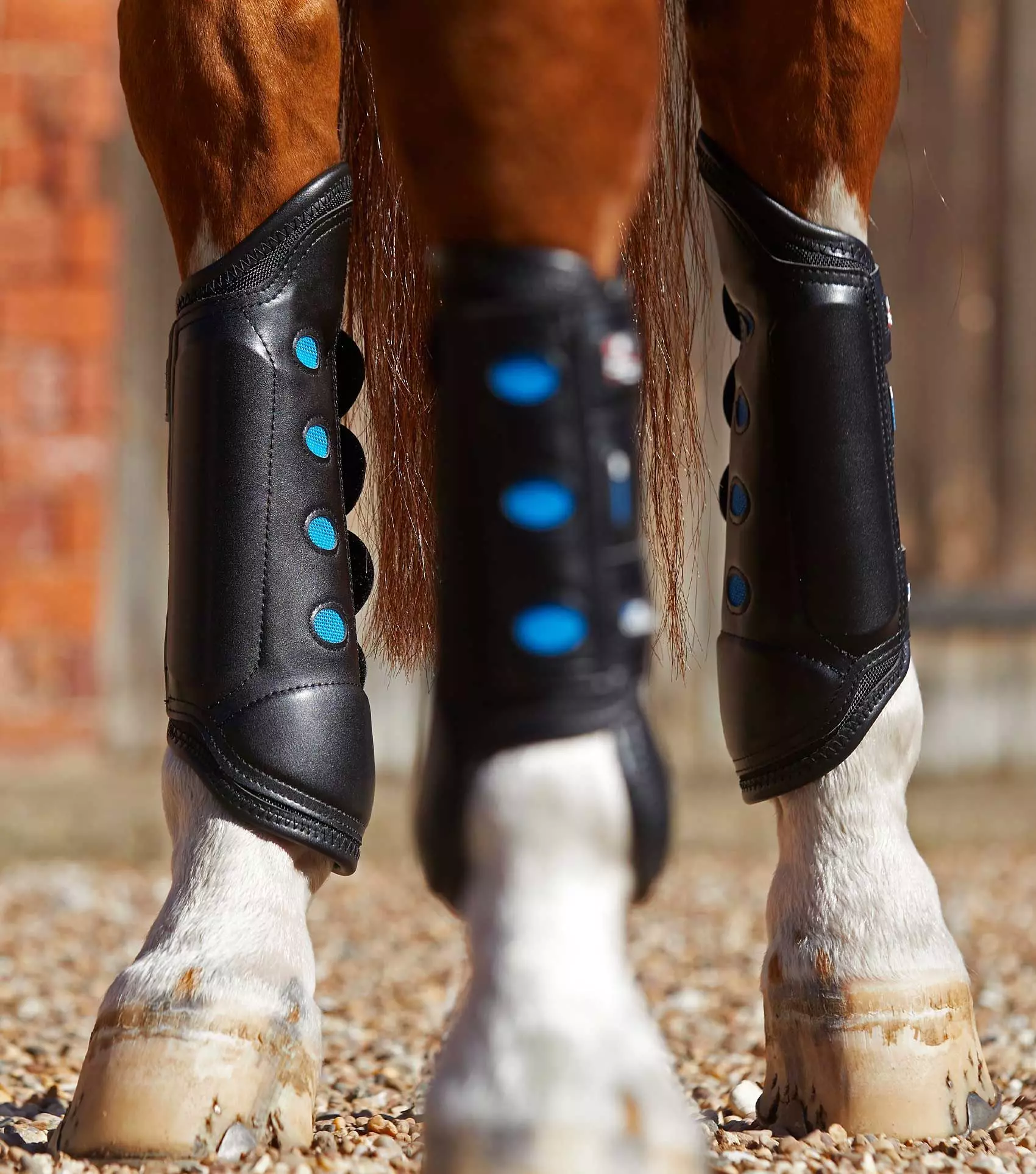 Premier Equine Air Cooled Original Eventing Boots - Image 5