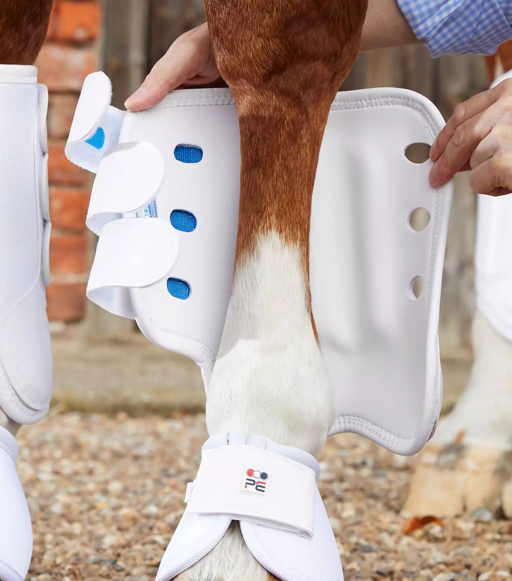 Premier Equine Air Cooled Original Eventing Boots - Image 16