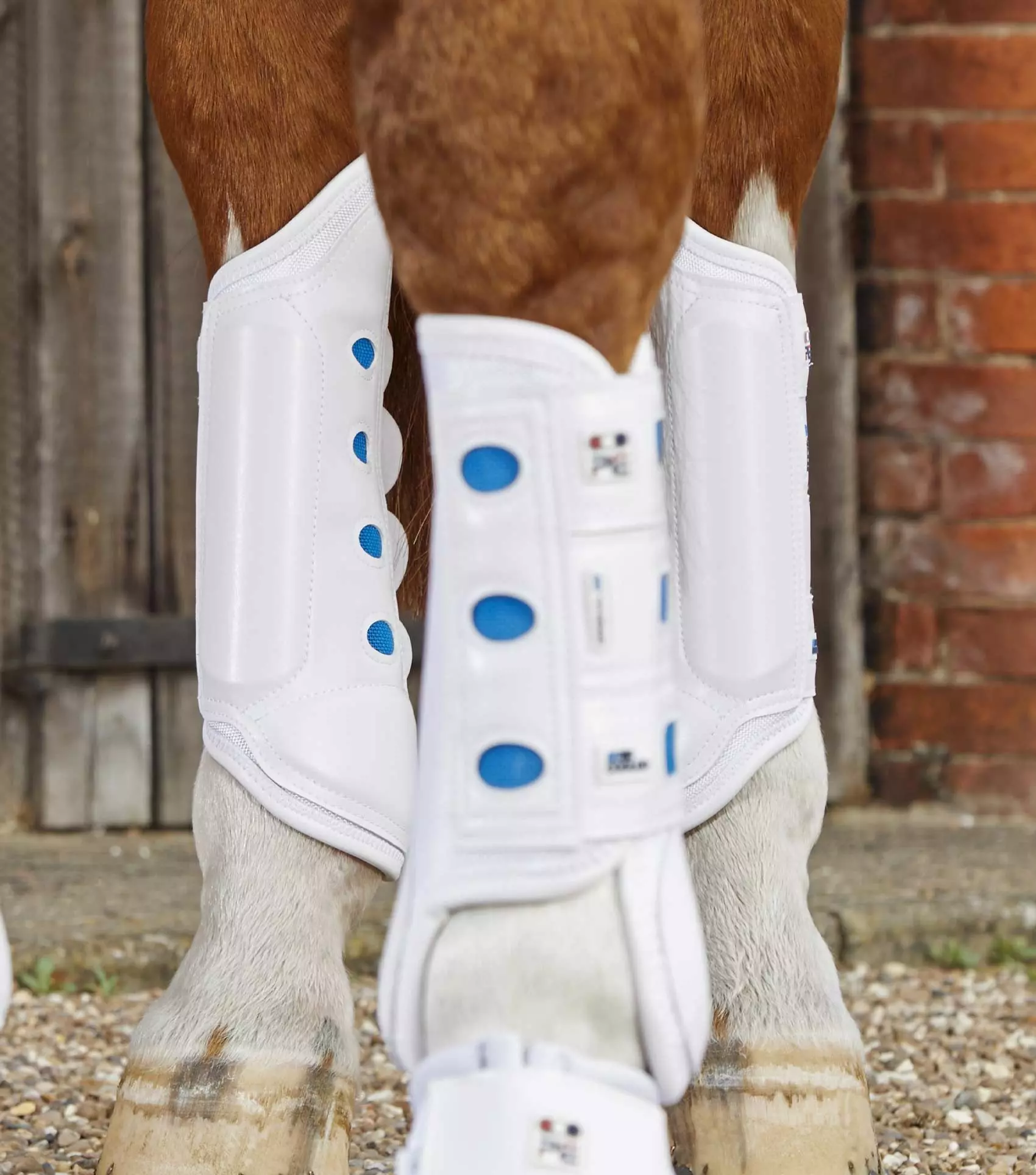 Premier Equine Air Cooled Original Eventing Boots - Image 18