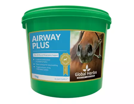 Global Herbs Airway Plus Powder - Image 2