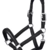 LeMieux Anatomic Leather Headcollar - Black