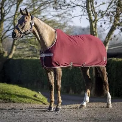 LeMieux Arika Jersey-Tek Rug - Image 2