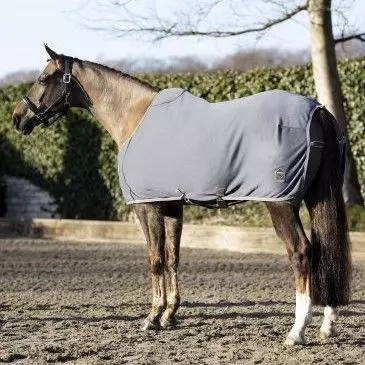 LeMieux Arika Jersey-Tek Rug - Image 16