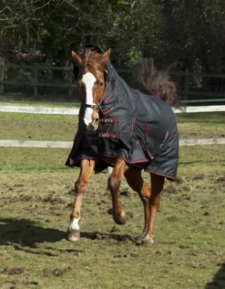 Rhinegold Aspen Heavyweight Combo Turnout 350g