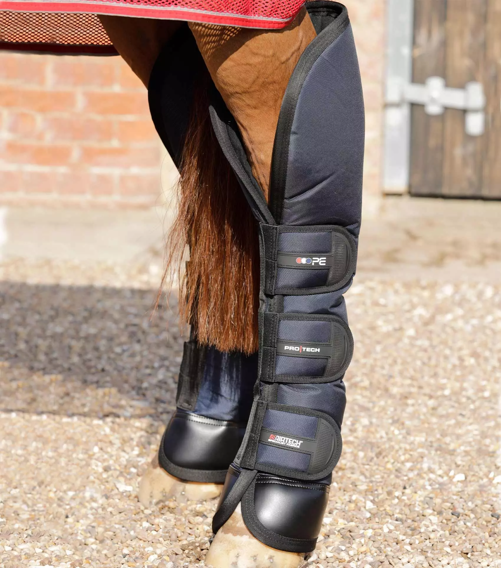 Premier Equine Ballistic Knee Pro-Tech Horse Travel Boots - Image 7