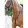 John Whitaker Barton Running Martingale