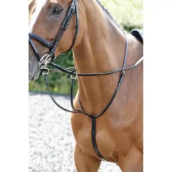 John Whitaker Barton Running Martingale