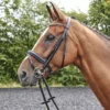 John Whitaker Barton Bling Flash Bridle Inc Rubber Reins