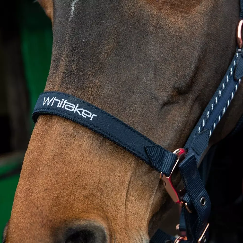 John Whitaker Bradshaw Headcollar Iwth Rose Gold Fittings - Image 10