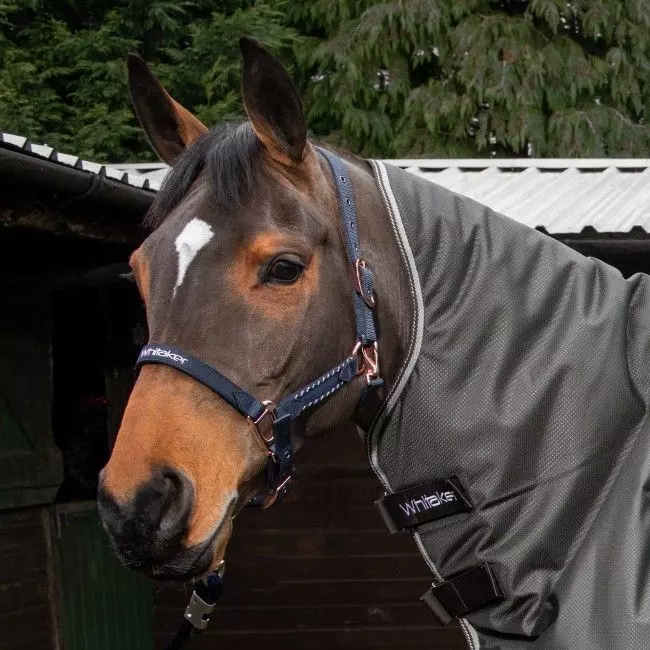 John Whitaker Bradshaw Headcollar Iwth Rose Gold Fittings - Image 9