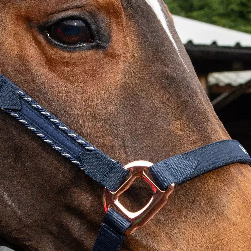 John Whitaker Bradshaw Headcollar Iwth Rose Gold Fittings