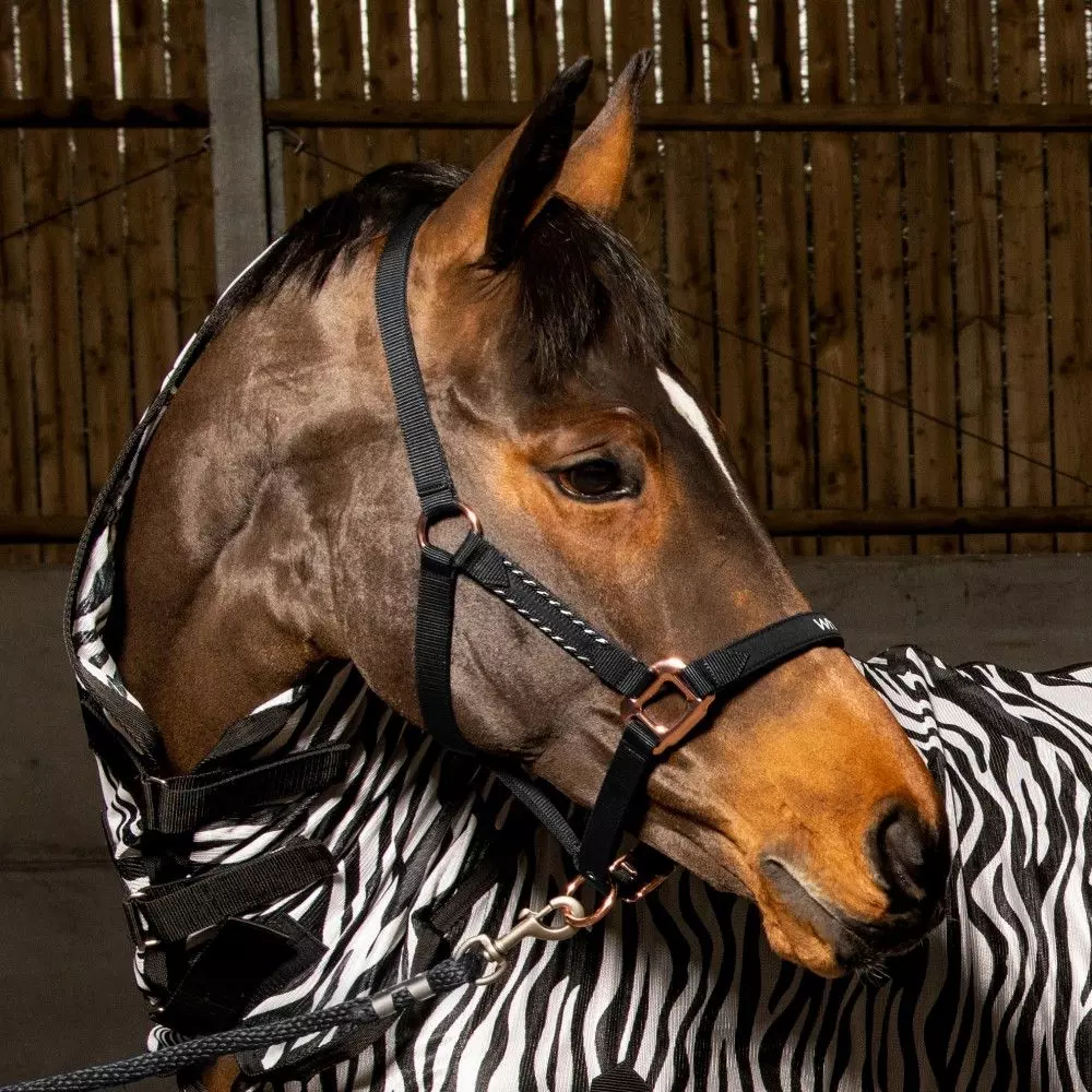John Whitaker Bradshaw Headcollar Iwth Rose Gold Fittings - Image 11