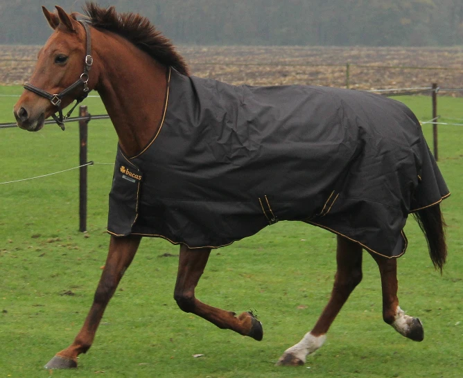 Bucas Irish Turnout Light/50 High Neck Rug - Image 8