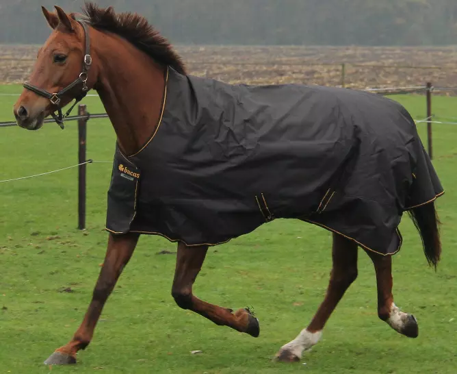 Bucas Irish Turnout Light/50 High Neck Rug - Image 12