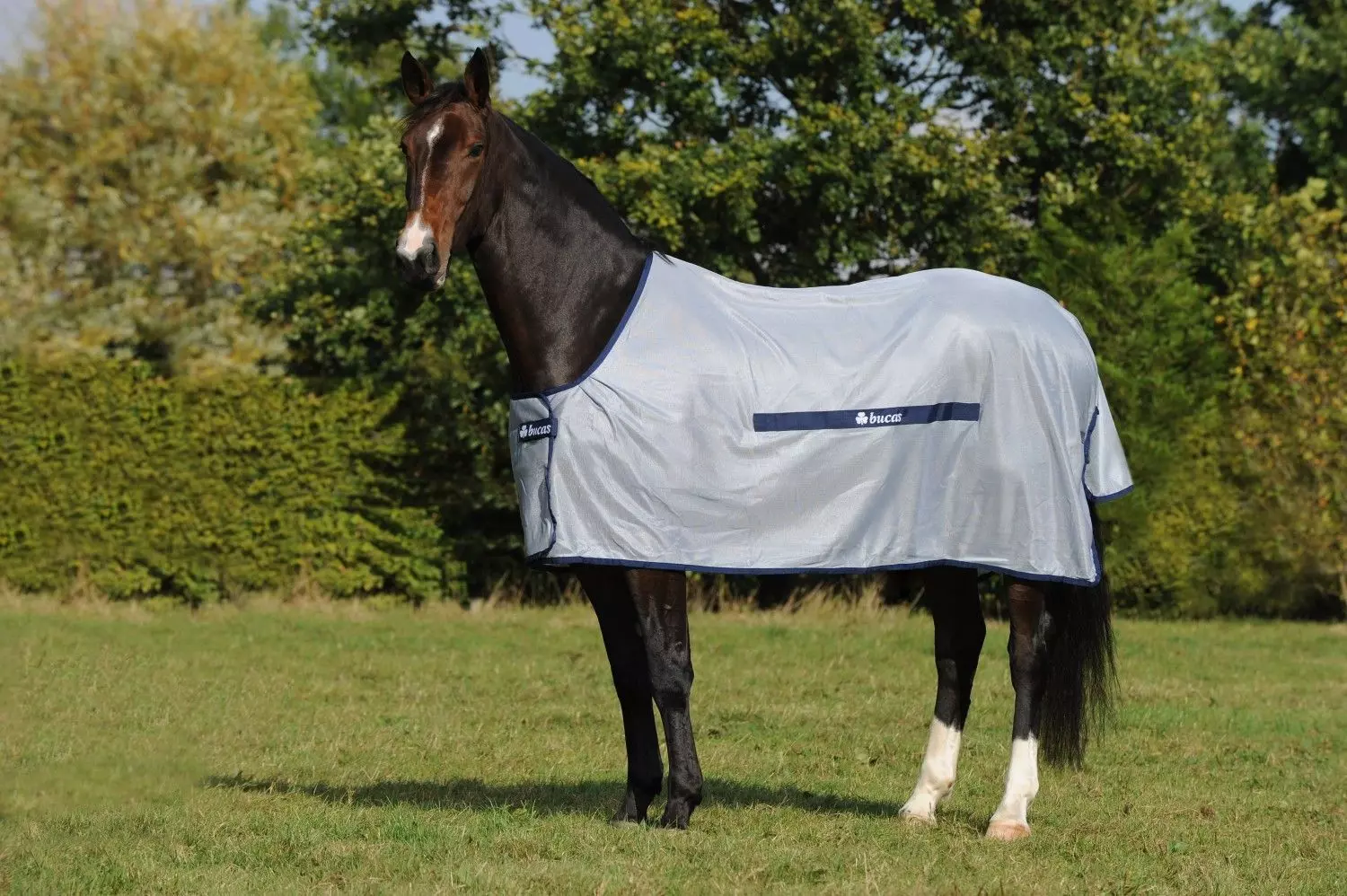 Bucas Buzz Off Fly Sheet Classic - Image 7