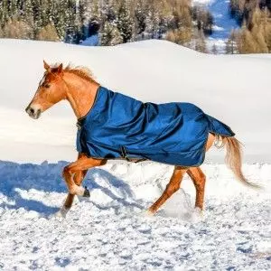 Bucas Irish Turnout Light/50 High Neck Rug - Image 6