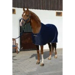 Bucas Power Prize Cooler